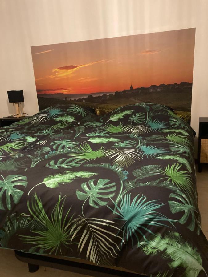 L'alsacienne Apartment *
