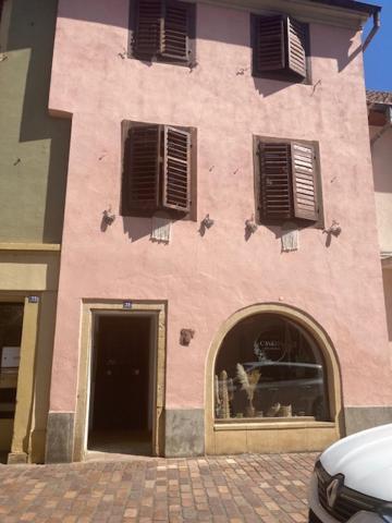 Apartment L'alsacienne *